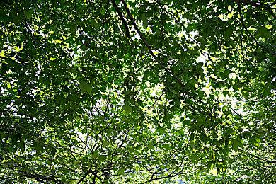 新加坡真人影游《心之岛》上架Steam 美女太多