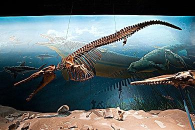 传闻：PS5独占游戏《瑞奇与叮当：分离》或将登陆PC